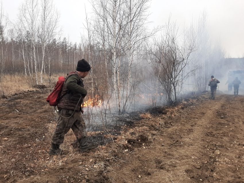 Костер, не потушенный рыбаками, стал причиной лесного пожара в Забайкалье